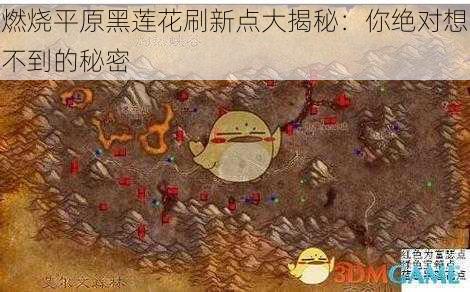 燃烧平原黑莲花刷新点大揭秘：你绝对想不到的秘密