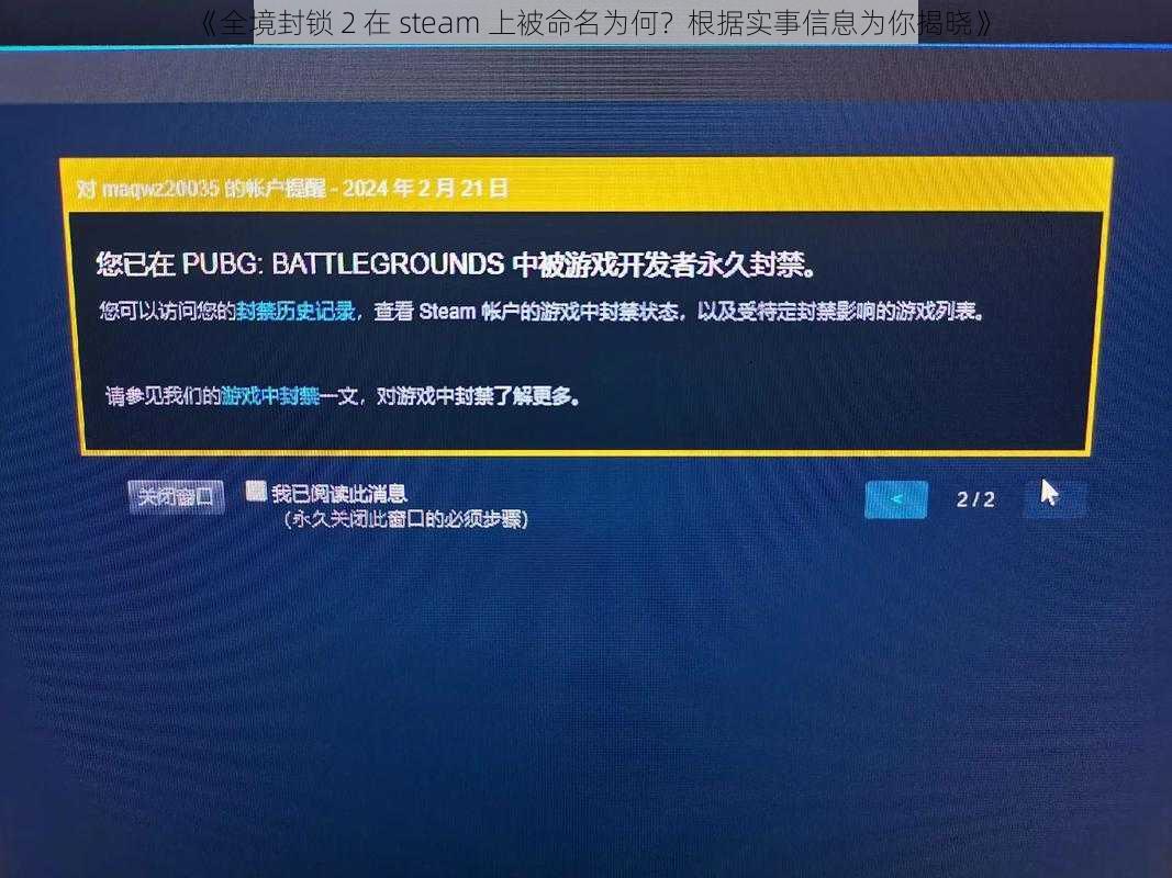 《全境封锁 2 在 steam 上被命名为何？根据实事信息为你揭晓》