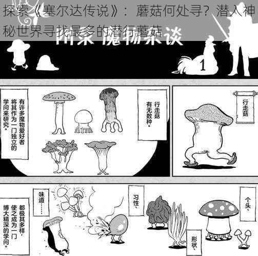 探索《塞尔达传说》：蘑菇何处寻？潜入神秘世界寻找最多的潜行蘑菇