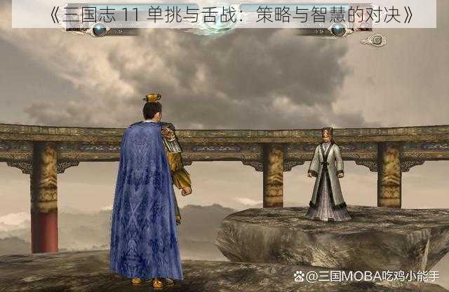 《三国志 11 单挑与舌战：策略与智慧的对决》